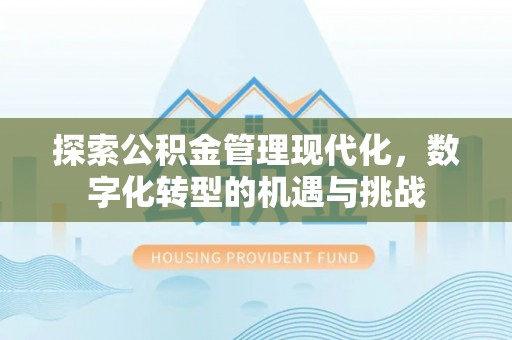 尼玛探索公积金管理现代化，数字化转型的机遇与挑战