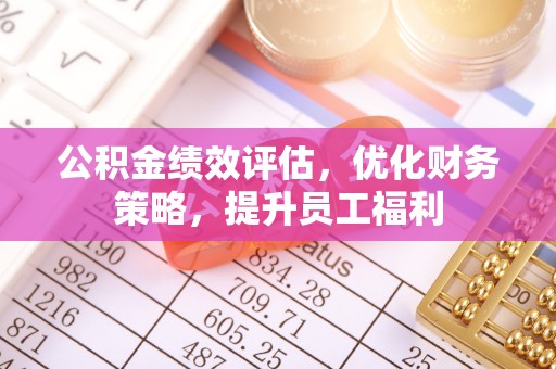 尼玛公积金绩效评估，优化财务策略，提升员工福利
