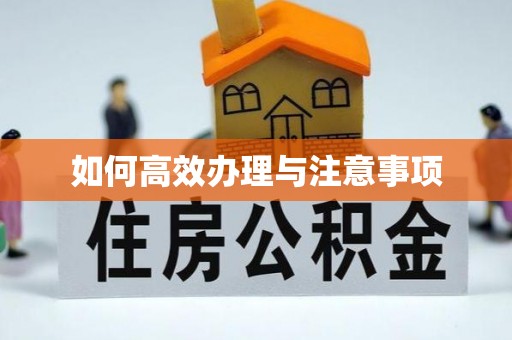 尼玛如何高效办理与注意事项