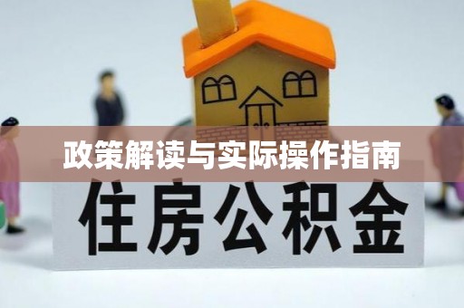 尼玛政策解读与实际操作指南