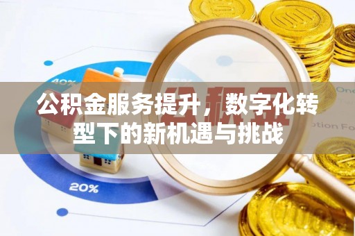 尼玛公积金服务提升，数字化转型下的新机遇与挑战
