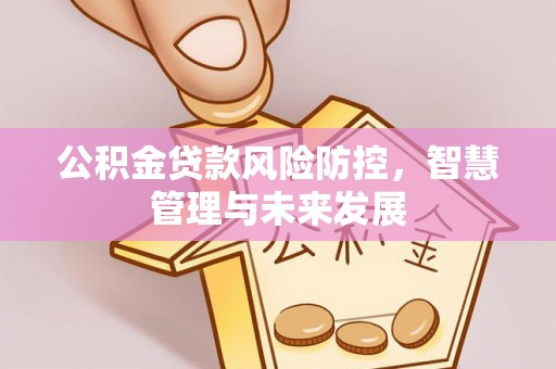 尼玛公积金贷款风险防控，智慧管理与未来发展