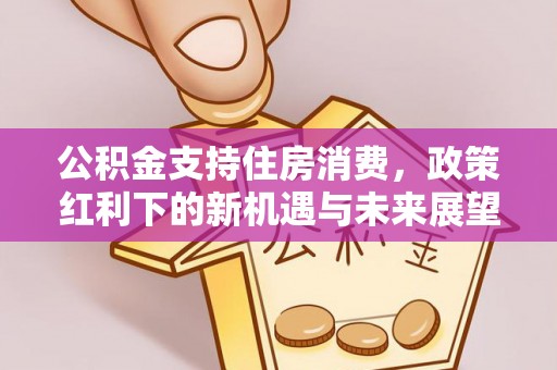 尼玛公积金支持住房消费，政策红利下的新机遇与未来展望