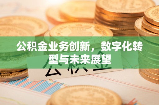 尼玛公积金业务创新，数字化转型与未来展望