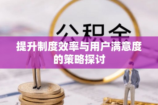 尼玛提升制度效率与用户满意度的策略探讨